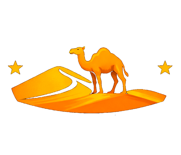 Area Morocco Tours